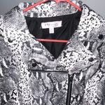 Philosophy  Faux Leather Snakeskin Moto Jacket Crop Edgy Layers Womens Medium Photo 3