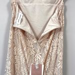 Fame and Partners Blush Pink Chelsey Lace Maxi Dress Size 8 Photo 12