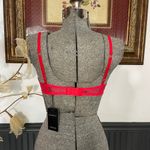 NWT Bluebella Marseille Plunge Underwired Embroidered Red Mesh Bra Sz 30DDD 💚🎀 Photo 5