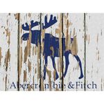 Abercrombie & Fitch NEW  Harper Low Rise Jean Shorts Blue Denim Lace Size 24 00 R Photo 5