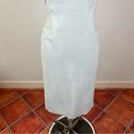 Babaton Aritzia  Ruslan Dress in Sea Salt Photo 4