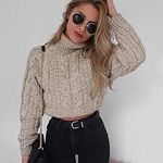Paraphrase Cropped Turleneck Sweater Photo 0