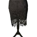 Lush Clothing Lush Lace Pencil Skirt Women’s Large Black Whimsigoth Dark Romantic Gothic Photo 11