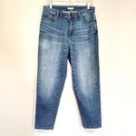 Eileen Fisher  Straight Leg Crop Jeans Women's 8 Stretch High Rise Preppy Classic Photo 2