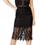 Bardot Gemma Halter Lace Sheath Dress Women's 6 Black Sleeveless Knee Length NWT Photo 0
