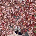 ✨ SOUL MIKEY BOOTIES✨ Black Size 8 Photo 8