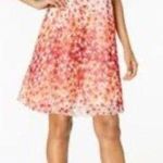 Calvin Klein  Size 12 Sleeveless Floral Chiffon Dress Flowy High Neck Red Photo 1