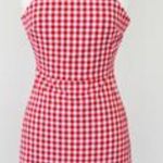 Impeccable Pig Red Gingham Dress  Photo 0