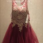 Fiesta Fashion Semi Formal Dress Burgundy Photo 4