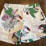 OVI NWT  Shorts - Size M Photo 0