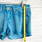 Vintage Havana  Blue Shorts Photo 5