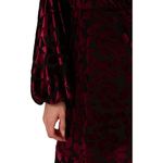 Adrianna Papell Women's Dress Burnout Velvet Holiday Whimsigoth Christmas Red Burgundy Leaf 16 Photo 2