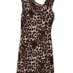 Calvin Klein leopard cheetah animal print sheath midi dress size 12 NWOT Photo 0