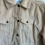 Hollister  Beige Knit‎ Sweater Photo 12