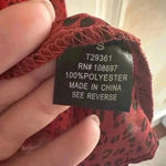 Alice Blue  small Photo 3