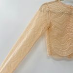 ZARA NEW  Beige Wavy Lace Scallop Hem Sheer Knit Long Sleeve Crop Top Small Y2K Photo 6