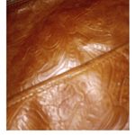 2/$30 American Leather Co. Leather Embossed Tan Pocketbook Crossbody Photo 1