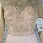 Sherri Hill  Blush Prom Dress Size 4 Photo 8