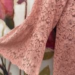 ZARA  Mauve Pink Eyelet Lace Sheer Babydoll Top Soft Girl Coquette Feminine Photo 3