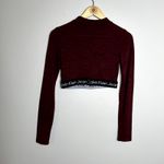 Calvin Klein  Maroon Logo Long Sleeve Crop Top Photo 4