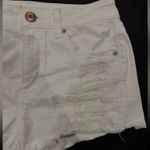 American Eagle White Shorts Photo 3