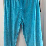 Jane Ashley FINAL MARKDOWN NWT  velour slacks large Photo 0