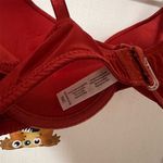 Frederick's of Hollywood  Women's Push-Up Diana Rust Satin‎ 36C Underwire NWT Photo 7