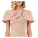 Kay Unger  Nicolette Gown in Pink Size 4 LIKE NEW Photo 1