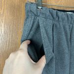 Everlane Charcoal Gray The Dream Pants Photo 3