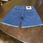 Sandrine Rose x Free People Bermuda Shorts Size 29 Photo 2