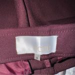 Ecru  Flare Dress Pants Size 4 Deep Wine Photo 3