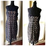Eliza J  Lacy Dress NWT Photo 1
