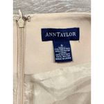 Ann Taylor Khaki Skit Size 6 Photo 1