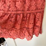 Saylor  Louisa MIDI Lace Dress in Coral Size Small EUC Photo 4