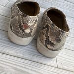 Steve Madden  Slip Ons Vans Slides Model Womens Size 8.5 Photo 5