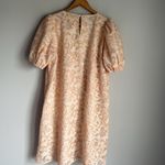 STINE GOYA Doris Lace Babydoll Mini Dress In Beige Tan Photo 2