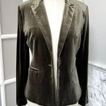 Molly Bracken Velvet One Button Blazer Khaki NWT Small Photo 2