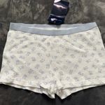 Brandy Melville Blue Teddy Shorts Photo 0