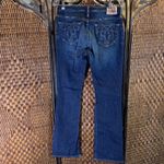 Big star  Flare Low Rise Jeans Size 27R Photo 3
