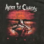 Alice In Chains Dirt Est 1987 Rock Band Mineral Wash T-Shirt Size 2X Photo 1