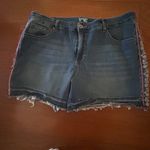 Terra & Sky  Women's Plus Size Embroidered Denim Jean Short Size 18W Boho Summer Photo 5