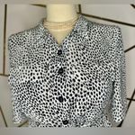 Topshop  Black and White Polo Collar Shirt Dress(879) Photo 6