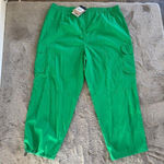 NWT The North Face Women's FlashDry Utility Cargo Pants Optic Emerald‎ Size 3XL Photo 5