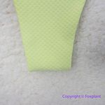 NEW Stone fox swim free‎ people enki bikini bottoms green, size M Green Size M Photo 9