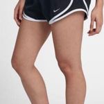 Nike Dry Fit Shorts  Photo 0