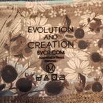 Evolution and creation  Woman’s Skull Printed Floral Printed Leggings Size Medium Photo 2