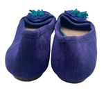 DKNY  New York Suede Ballet Flat Loafer Tassel Purple Green SZ 6 Photo 4