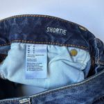 American Eagle  Outfitters Blue Jean Shorts Women’s Sz 10 Super Stretch 5 pockets Photo 2