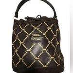 Longchamp BROWN AND TAN LEATHER DRAWSTRING BUCKET SHOULDER BAG Photo 1