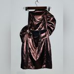 ZARA  Voluminous Flower Dress sz XS NEW!! Photo 2